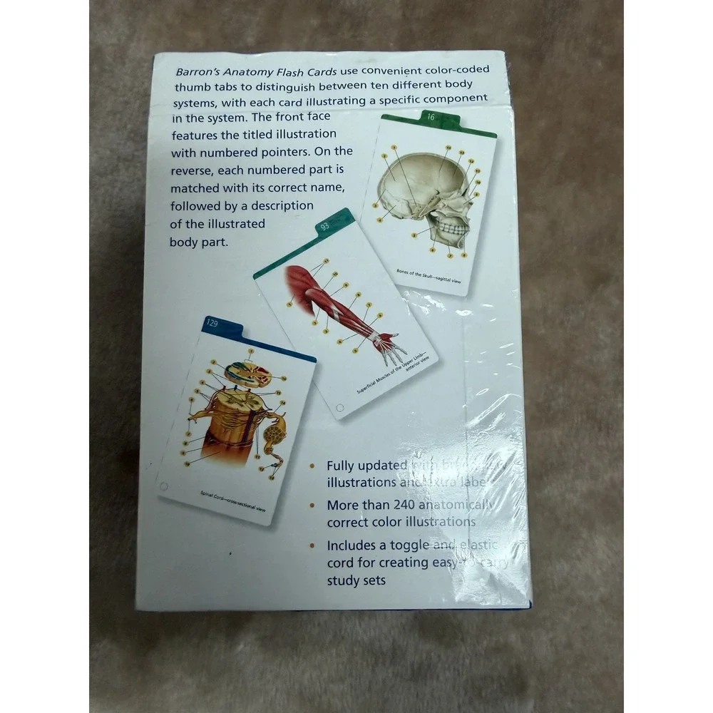 New Barton's Anatomy Flash Cards 3nd Edition 264 full Color Cards